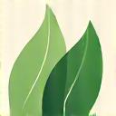 Abstract green leaf logo with 'Certified Green Business' text, representing environmental commitment.